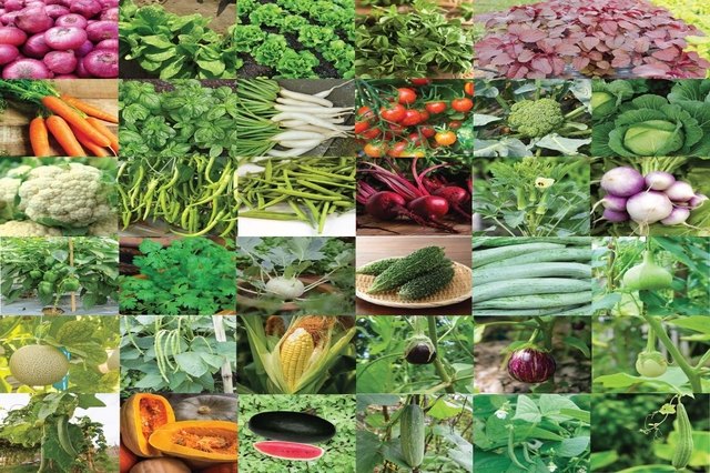 A Grade Vegetables Combo, Carton, 9 Kg