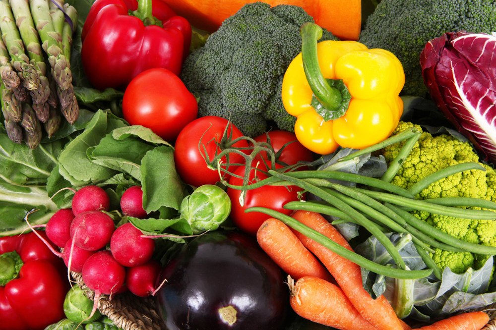 SUKH Pan India Manufacturer and Exporter of Organic Fresh Vegetables