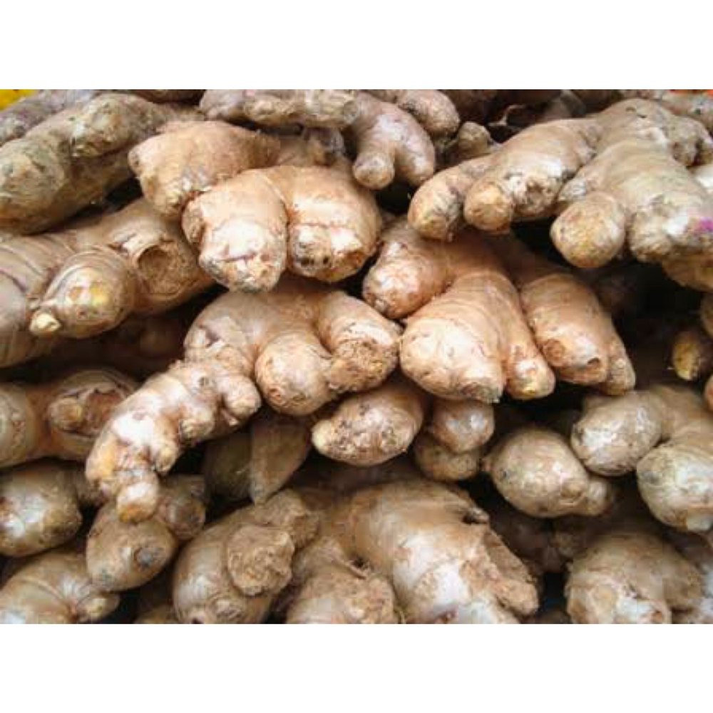 Organic Assam Ginger, 1%, Pesticide Free (for Raw Products)