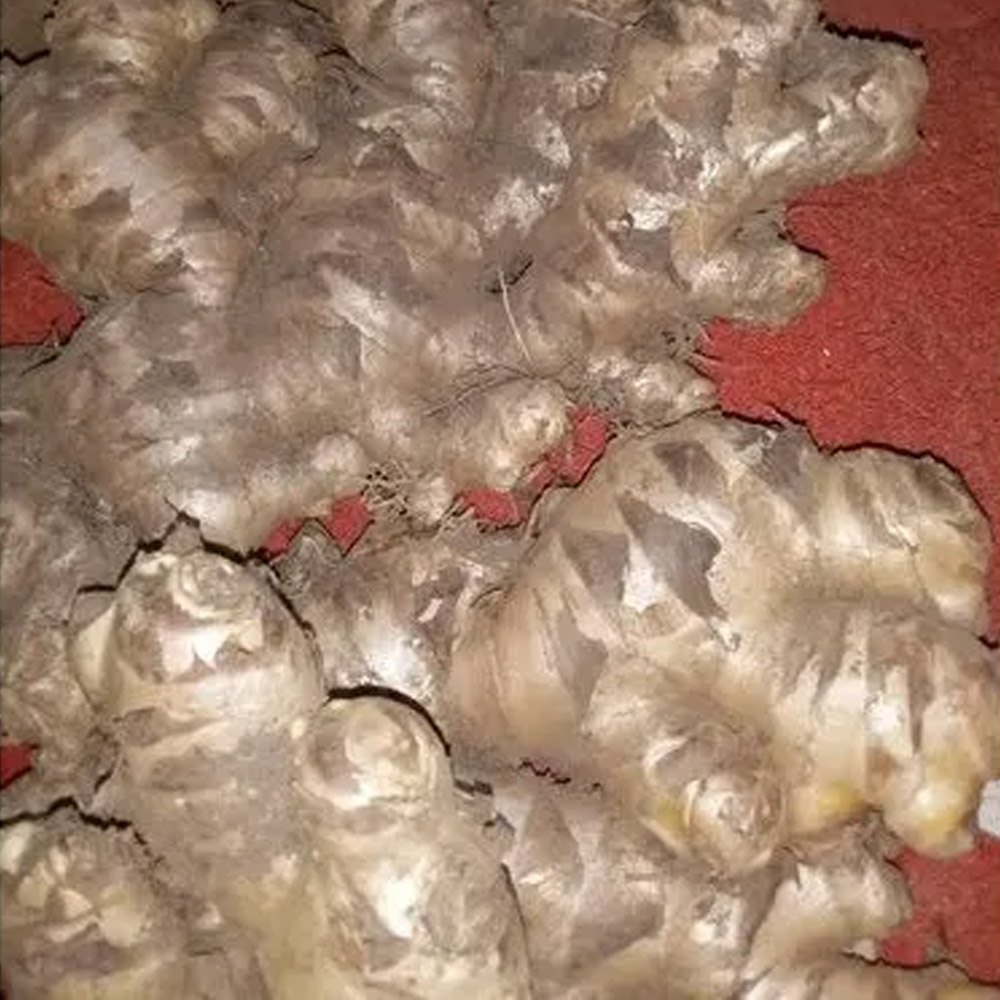 A Grade Brown Organic Fresh Ginger, Loose, Cough