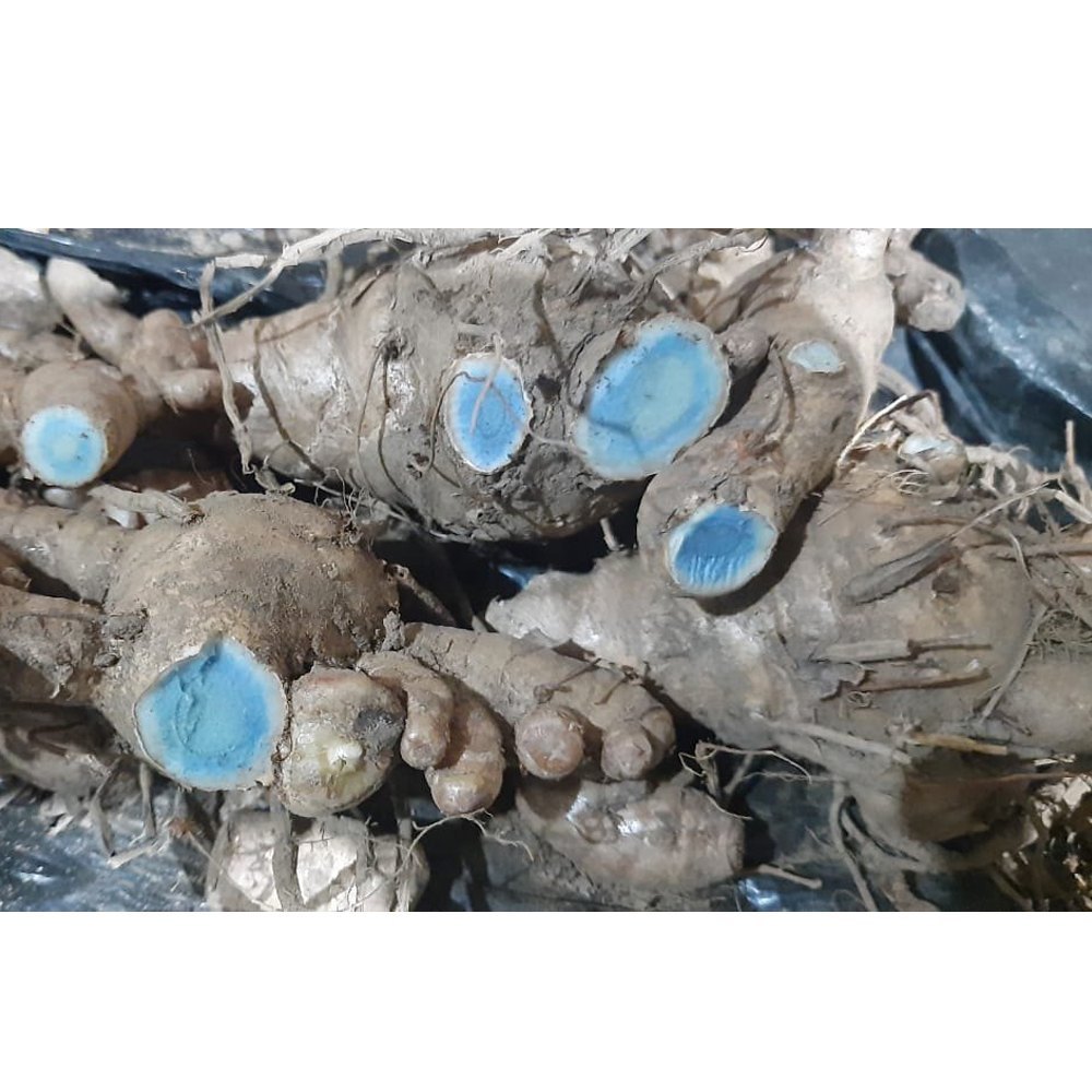 A Grade Yellow Organic Ginger Vegetable, Loose, Cooking
