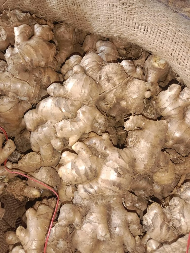 A Grade Brown Loose Organic Ginger, Pesticide Free (for Raw Products), Cough