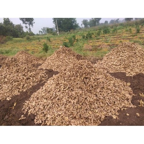 Pan India Organic Fresh Ginger