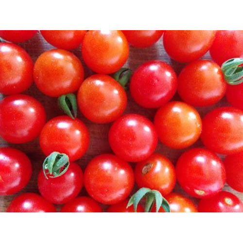 Organic Tomato