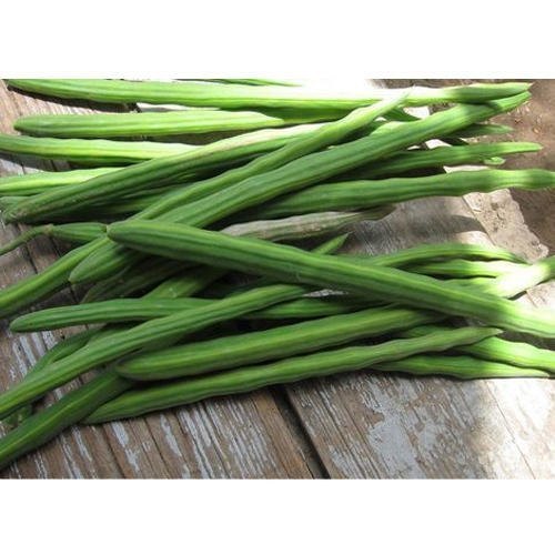A Grade Drumstick Moringa