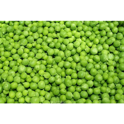 Organic Green Peas