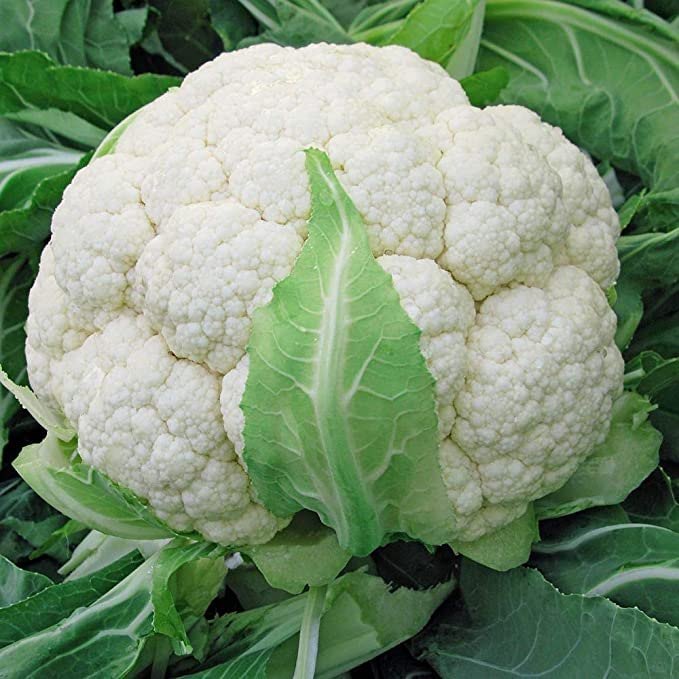 Indore Fresh Organic Cauliflower, 30mg
