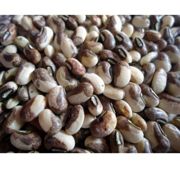 Alasando Yard Long Beans 250gms