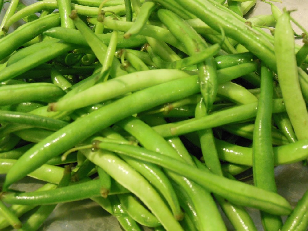 Organic Bean