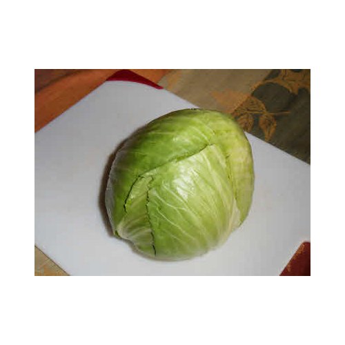 Maharashtra Green Organic Cabbage, Pesticide Free (for Raw Products), Packaging Size: 25, 50Kg