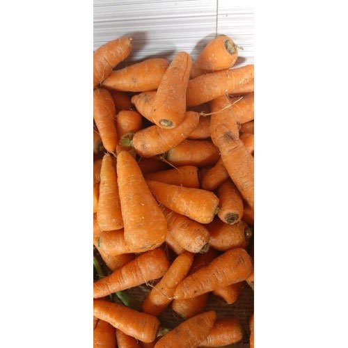 Organic Carrot, Packaging Type: Net Bag, Packaging Size: 20-25 Kg