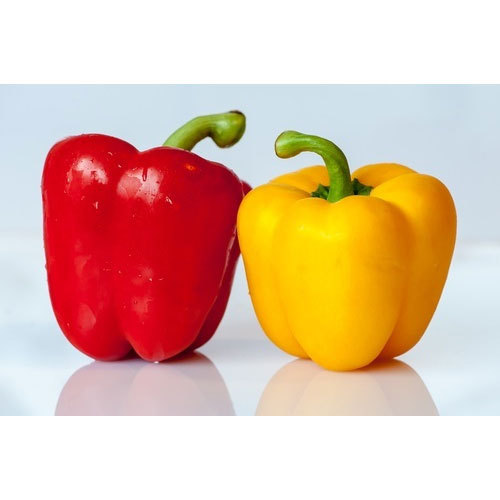 Organic Bell Pepper