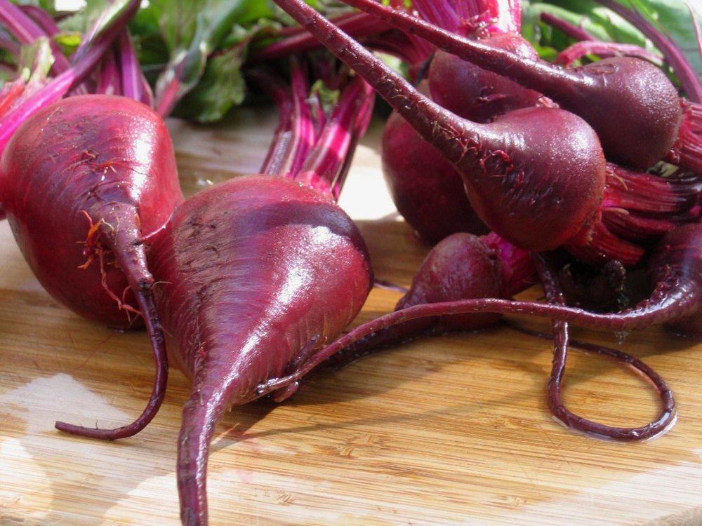 Organic Beet Root