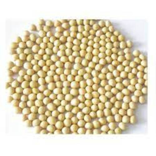 Non Gmo Soya Bean Brazil, 50 Kg