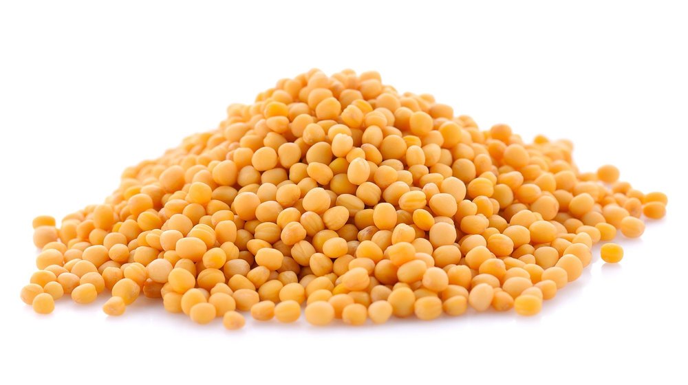 Indian Organic Masoor Dal