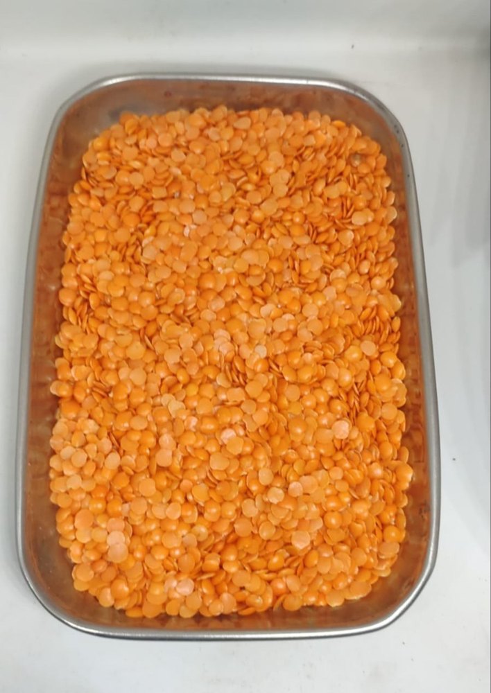 Red Masoor Dal, High in Protein