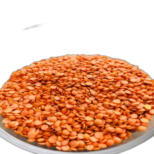Earthly Harvest Red Organic Masoor Dal, Gluten Free, Packaging Size: 50 Kg