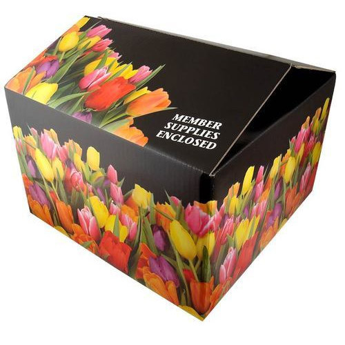 Triple Wall 7 Ply Lithography/Offset Offset Printing Boxes