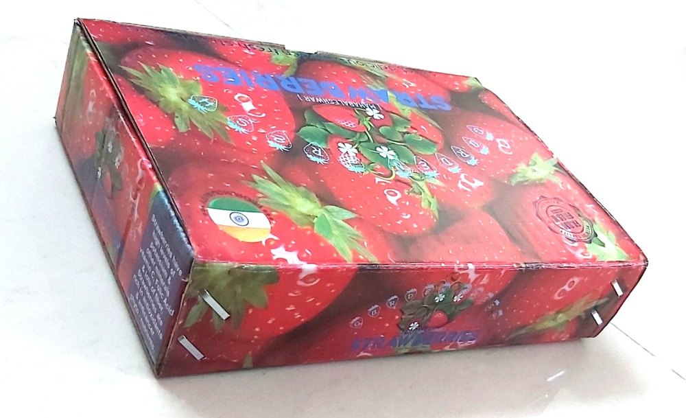 3 Ply Strawberry Packaging Box, 8.25 X 5.75 X 1.75 Inch