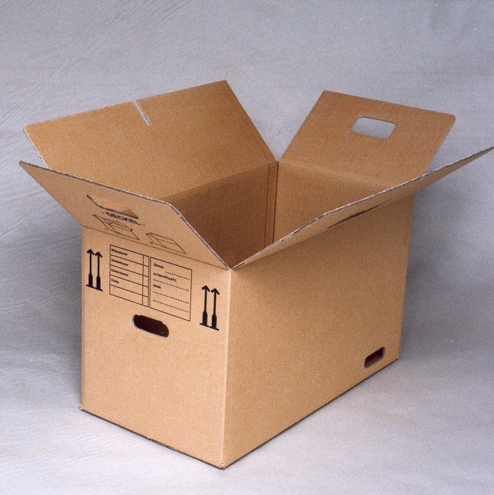 Rectangular Single Wall 3 Ply Laminated Mono Carton Box