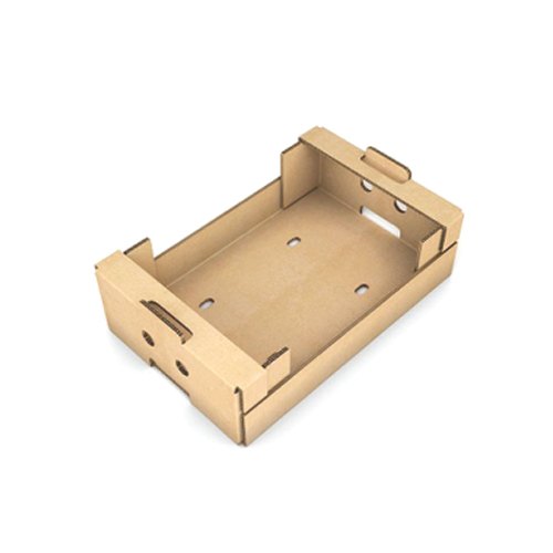 Akansha Paper Corrugated Tray Box
