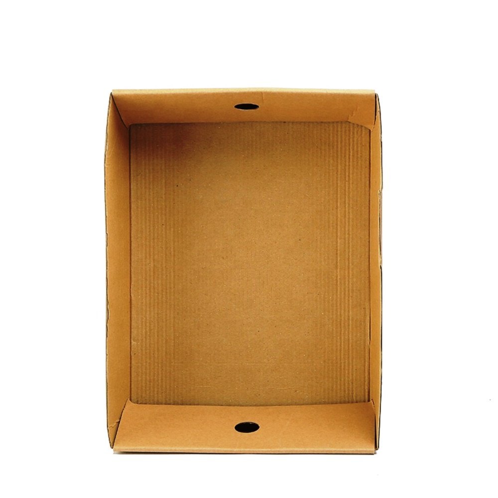 Corrugated Packaging Tray
