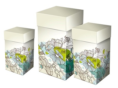 Duplex Printed Box, Digital printing (CMYK)