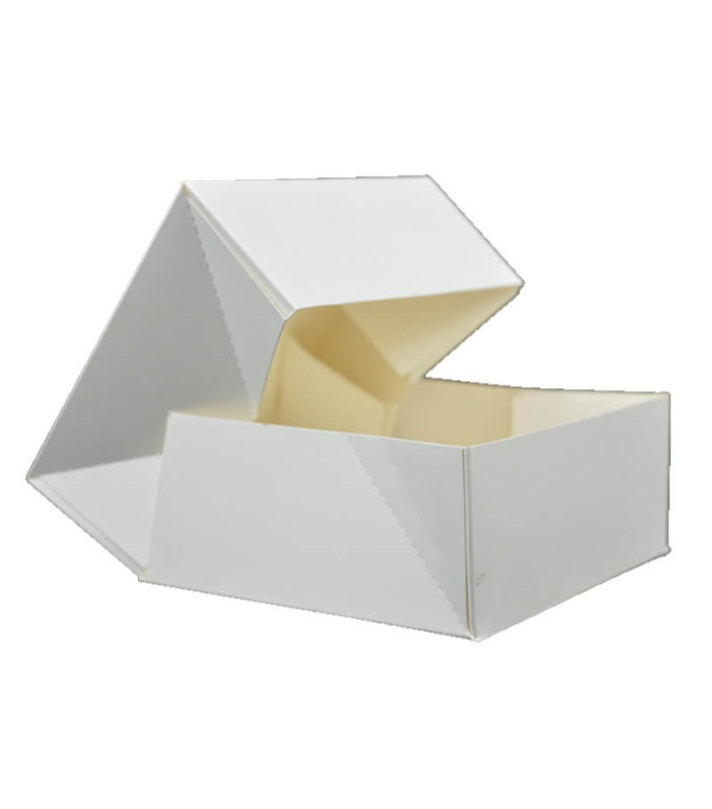 Grilled Sandwich Packaging Box