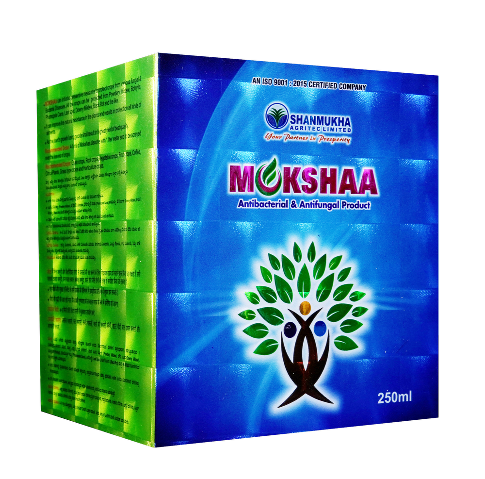 Holostik Mono Carton Box
