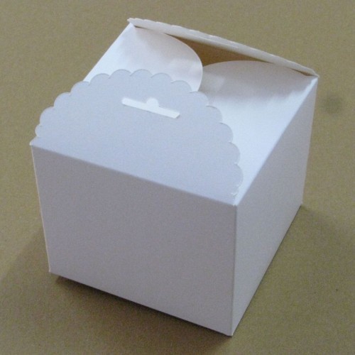 White Craft Packaging Box