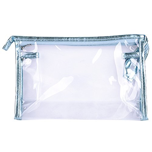 Plain Glossy Transparent Pouch