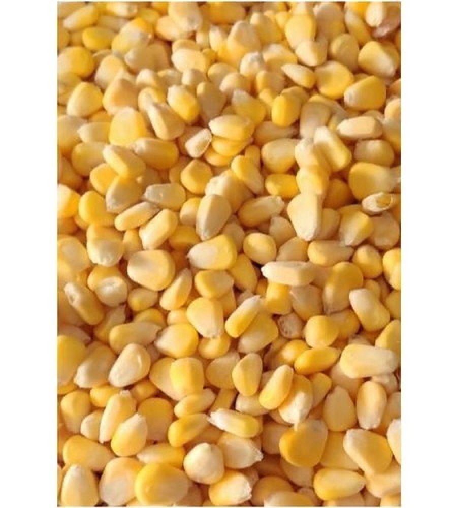 Frozen Sweet Corn, Packaging Type: Packet