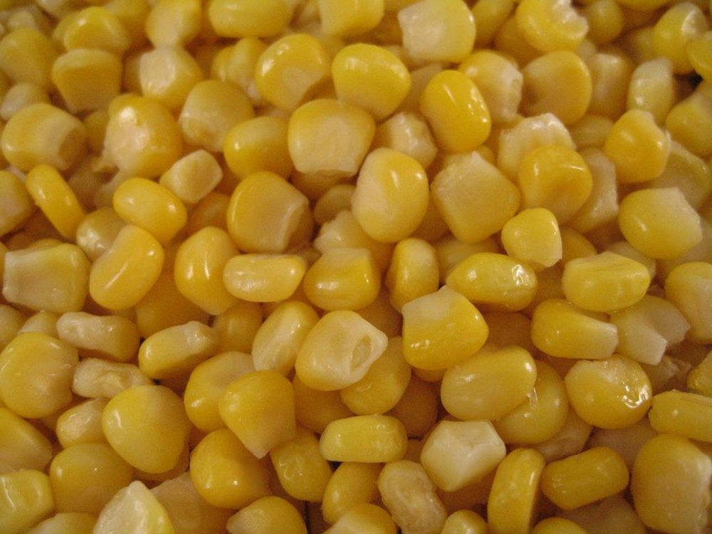 ice freeze Frozen Sweet Corn, Packaging Type: Bag