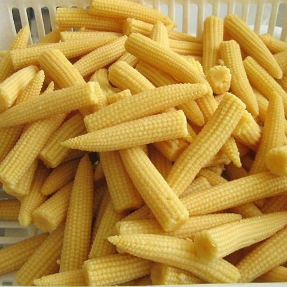 Frozen Baby Corn, Packaging Type: Loose