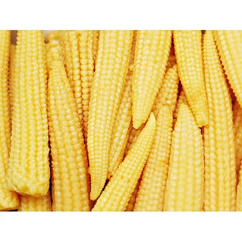 Frozen Baby Corn
