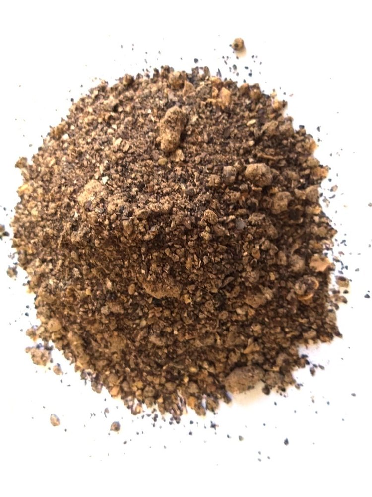 Castor high Protein