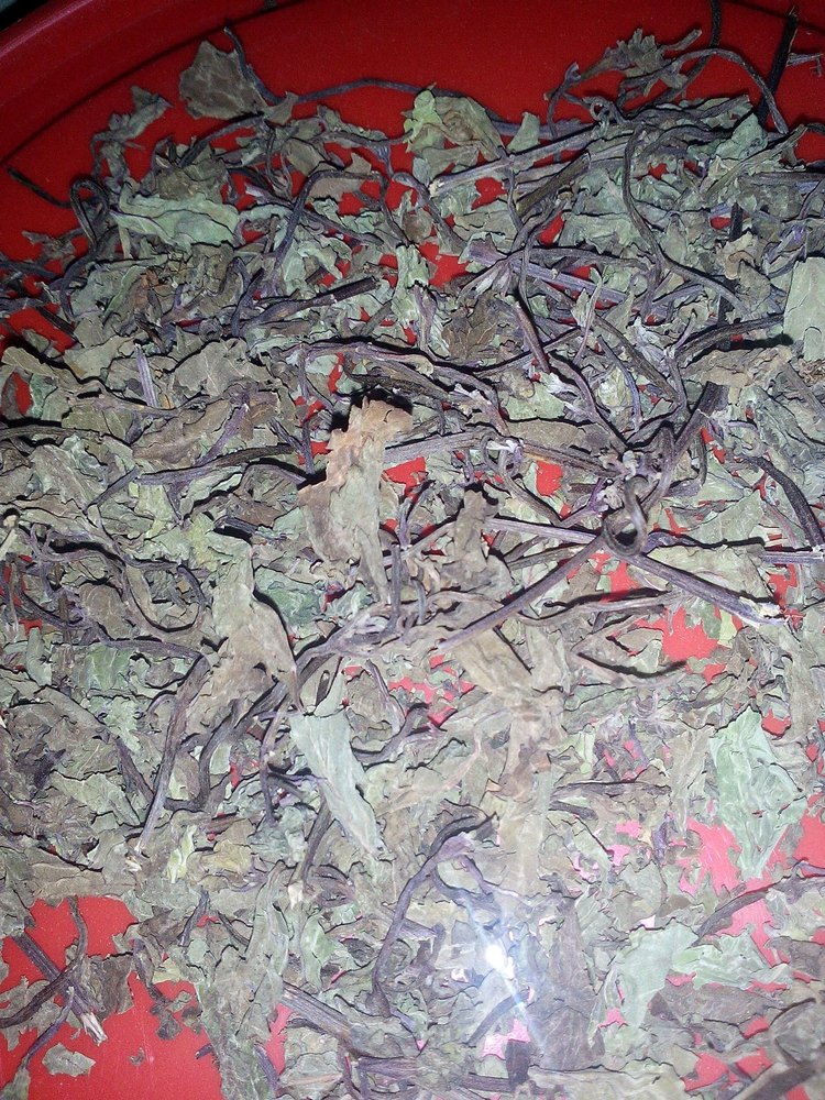 dark green Poonai Meesai Or Java Tea, dried leaves, 50kg