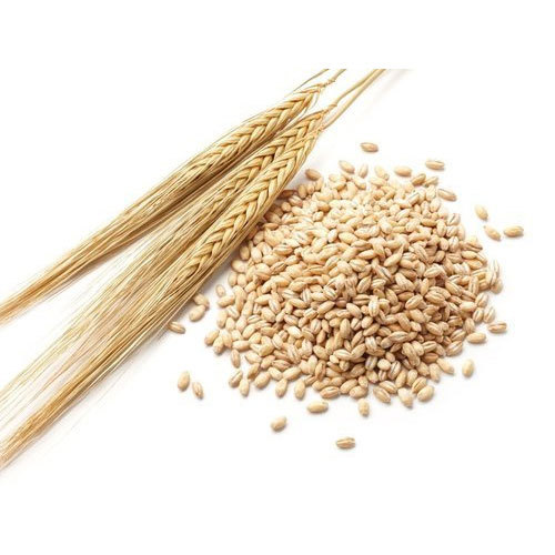 Indian Pearl Barley Flakes