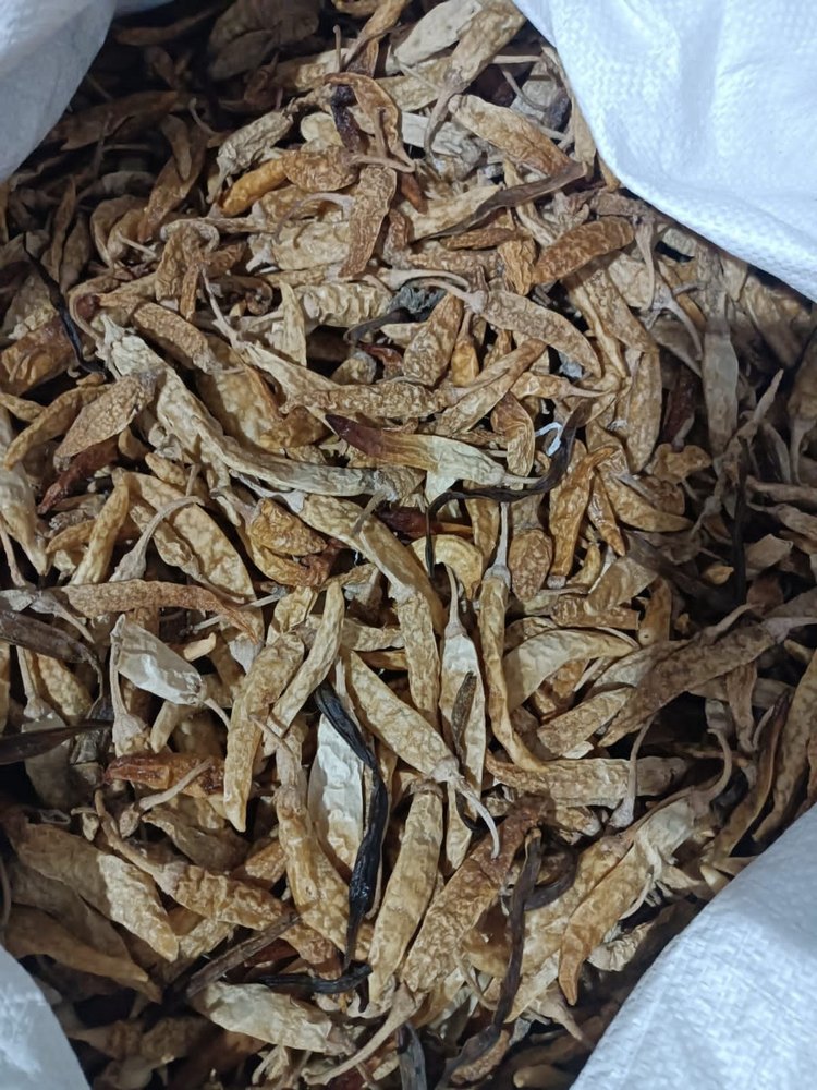 A Grade Dry Curd Chilli, Packaging Type: Plastic Bag