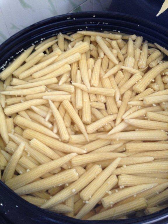 Good BABY CORN IN ACETIC ACID, Drums and Pails, Packaging Size: 260 Ltr Drums