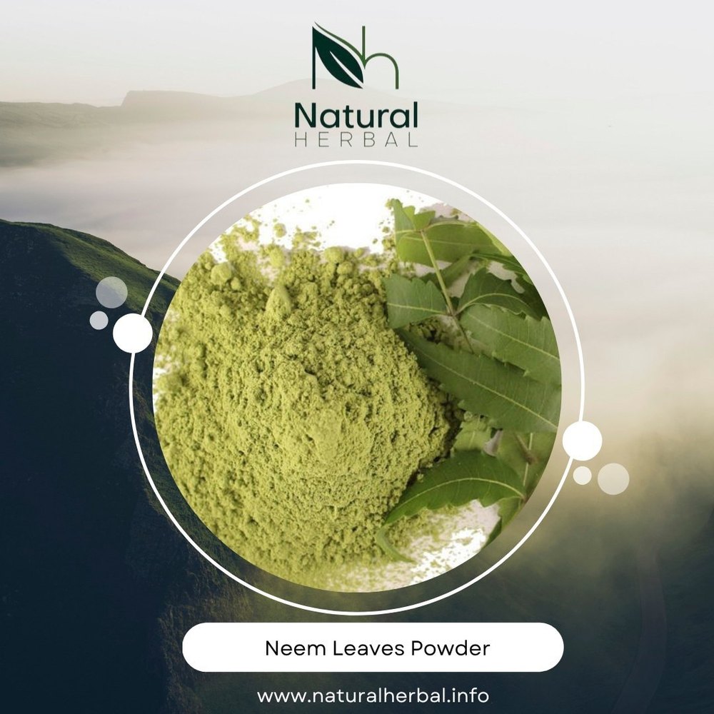 Natural Herbal Neem Leaves Powder