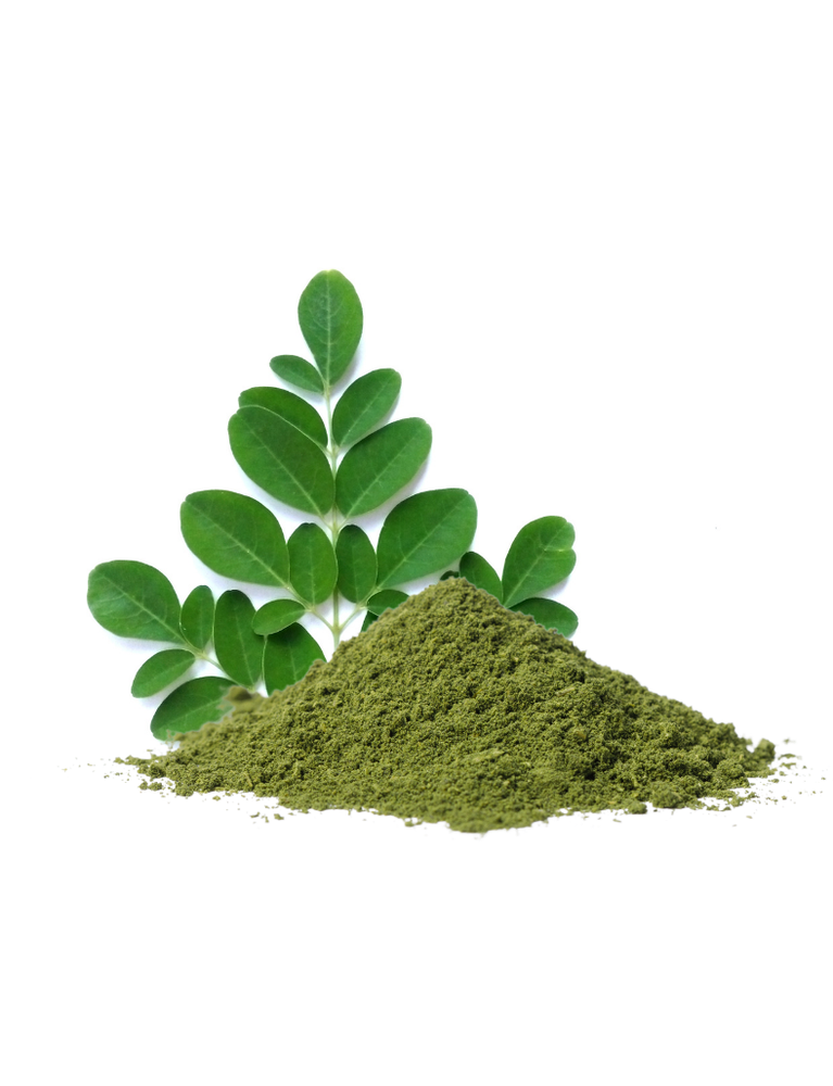 Moringa Leaves Powder, Packaging Size: 25 kg