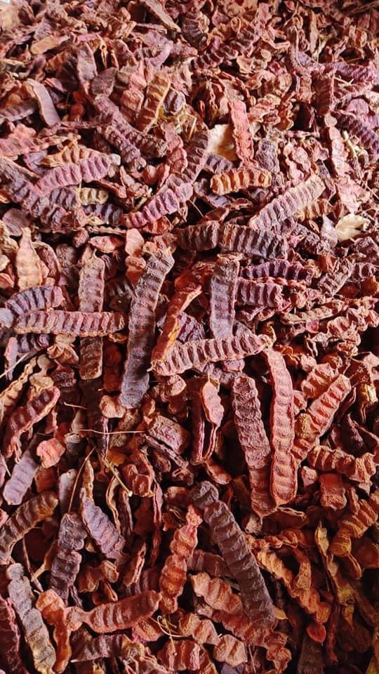 Mint Red Shikakai Powder, Packaging Type: Plastic Bag, Packaging Size: 25 KG