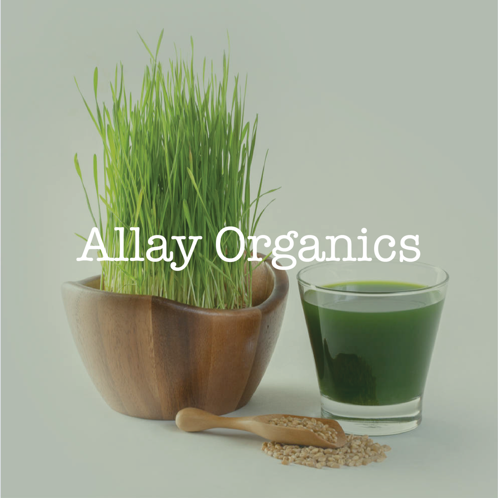 Organic Wheatgrass Powder, 25 kg