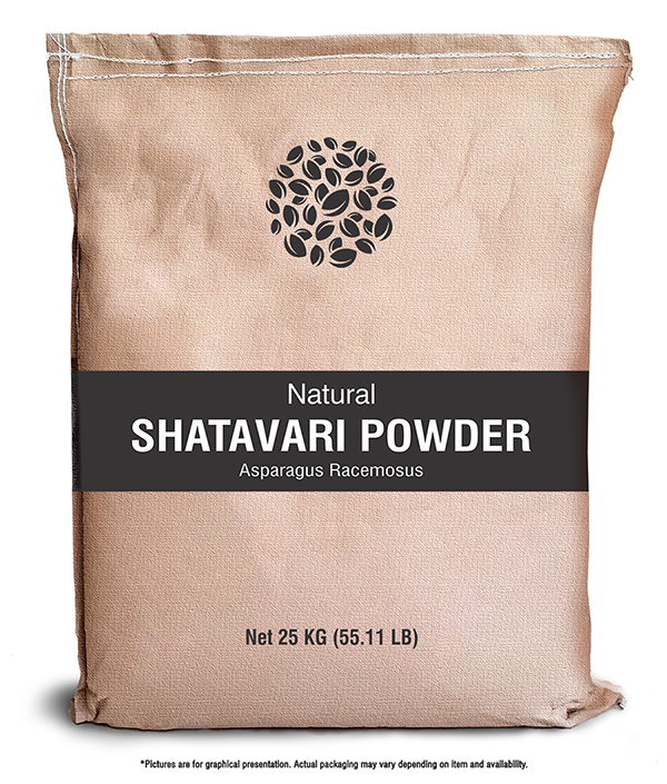 Herbs & Crops Asparagus Racemosus Shatavari Powder For Health, Packaging Size: 25 kg, Packaging Type: Bag