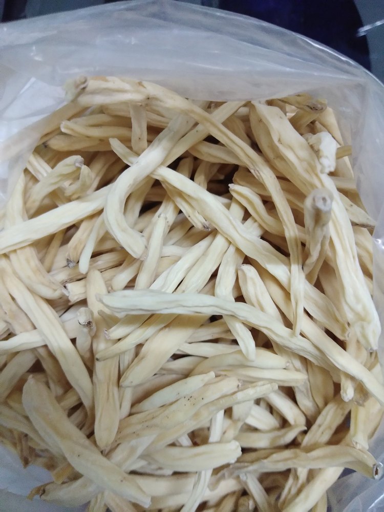 Shringar Organic Shatavari Root Powder, Sankhla Mehandi Udhyog, 25 Kg