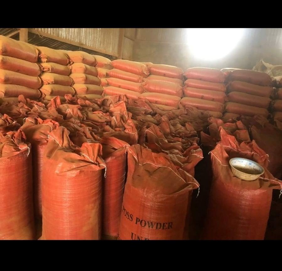 Vietnam Joss Powder, 40KG