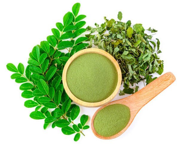 Moringa/Shirgu Moringa - Shigru leaf Powder