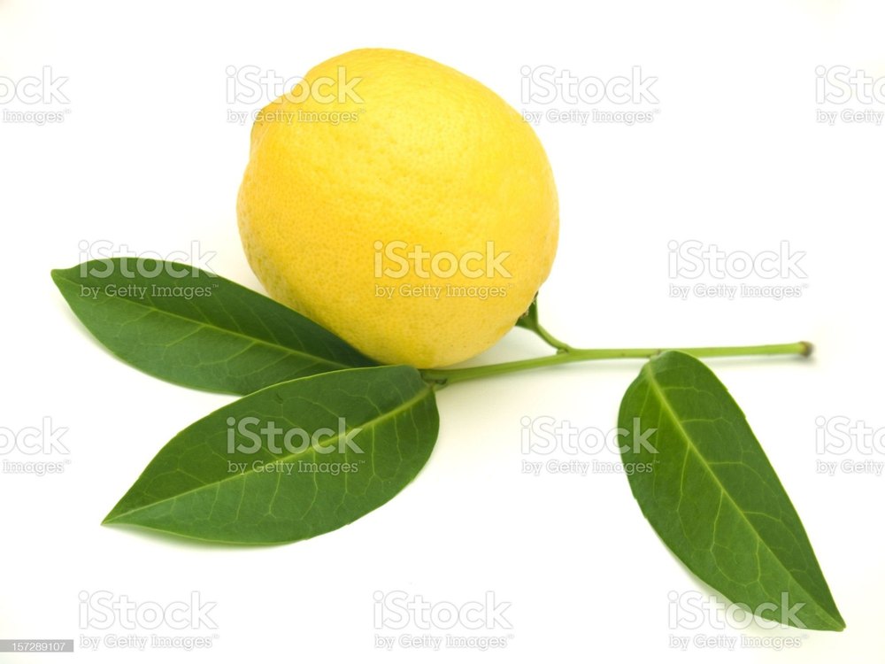 Leaves Anti Cancer Lemon Herbal Tea, Packaging Size: 500 Gm