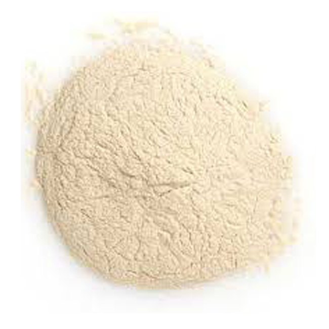 Jackfruit Seed Powder, Packaging Size: 5 kg, 25 kg